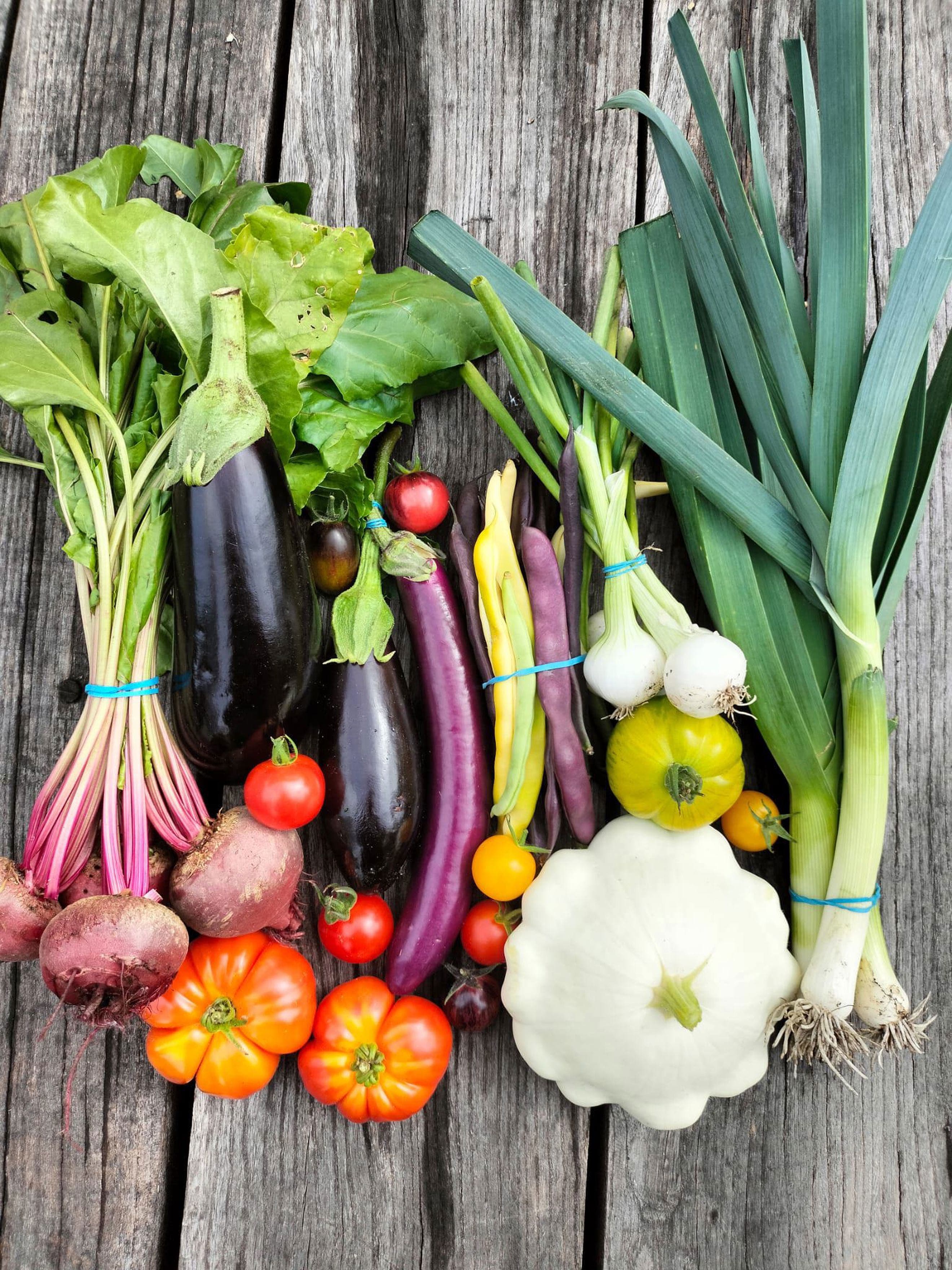 Regular Veg Box - Community Price