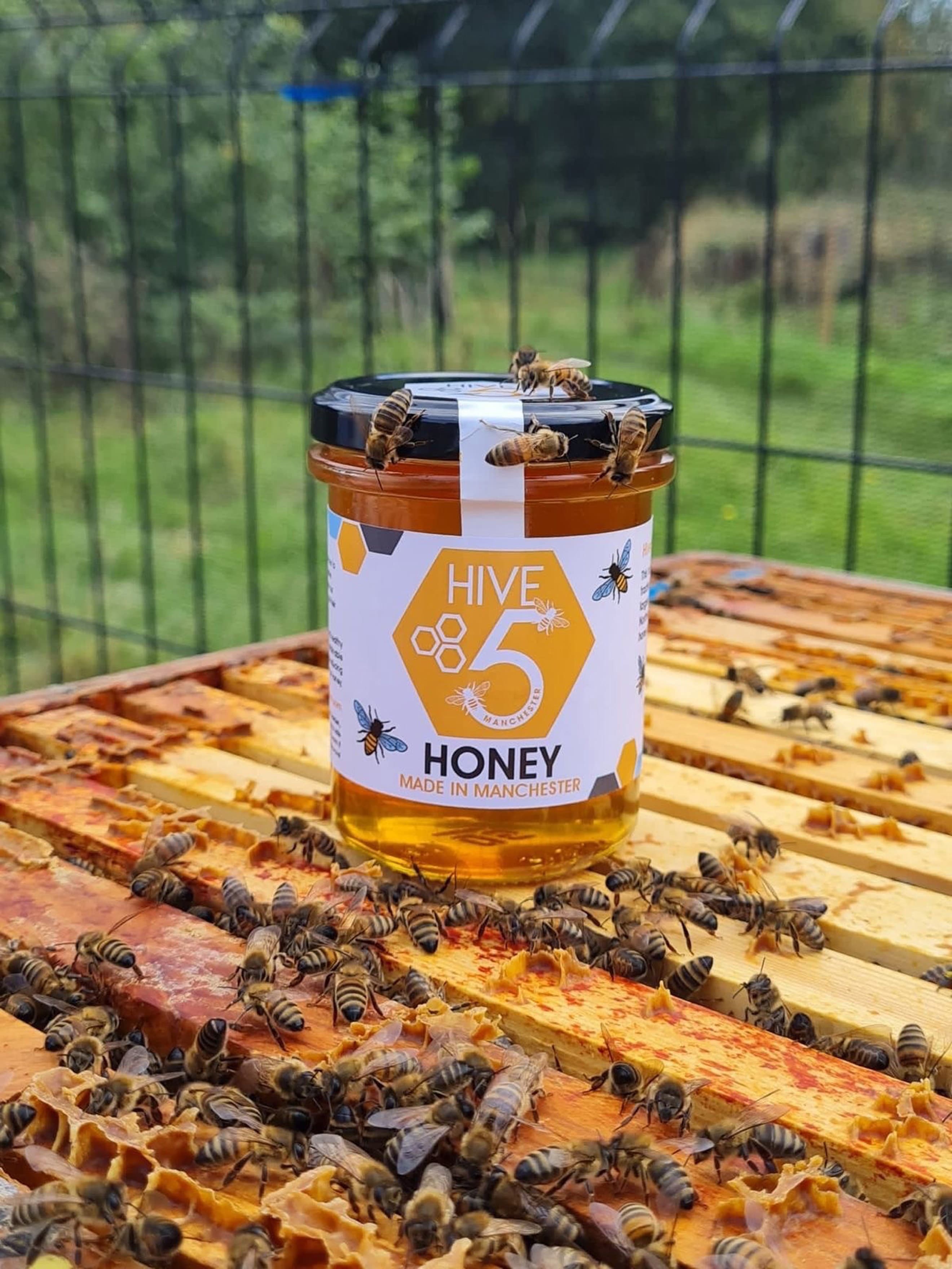 Hive 5 Honey