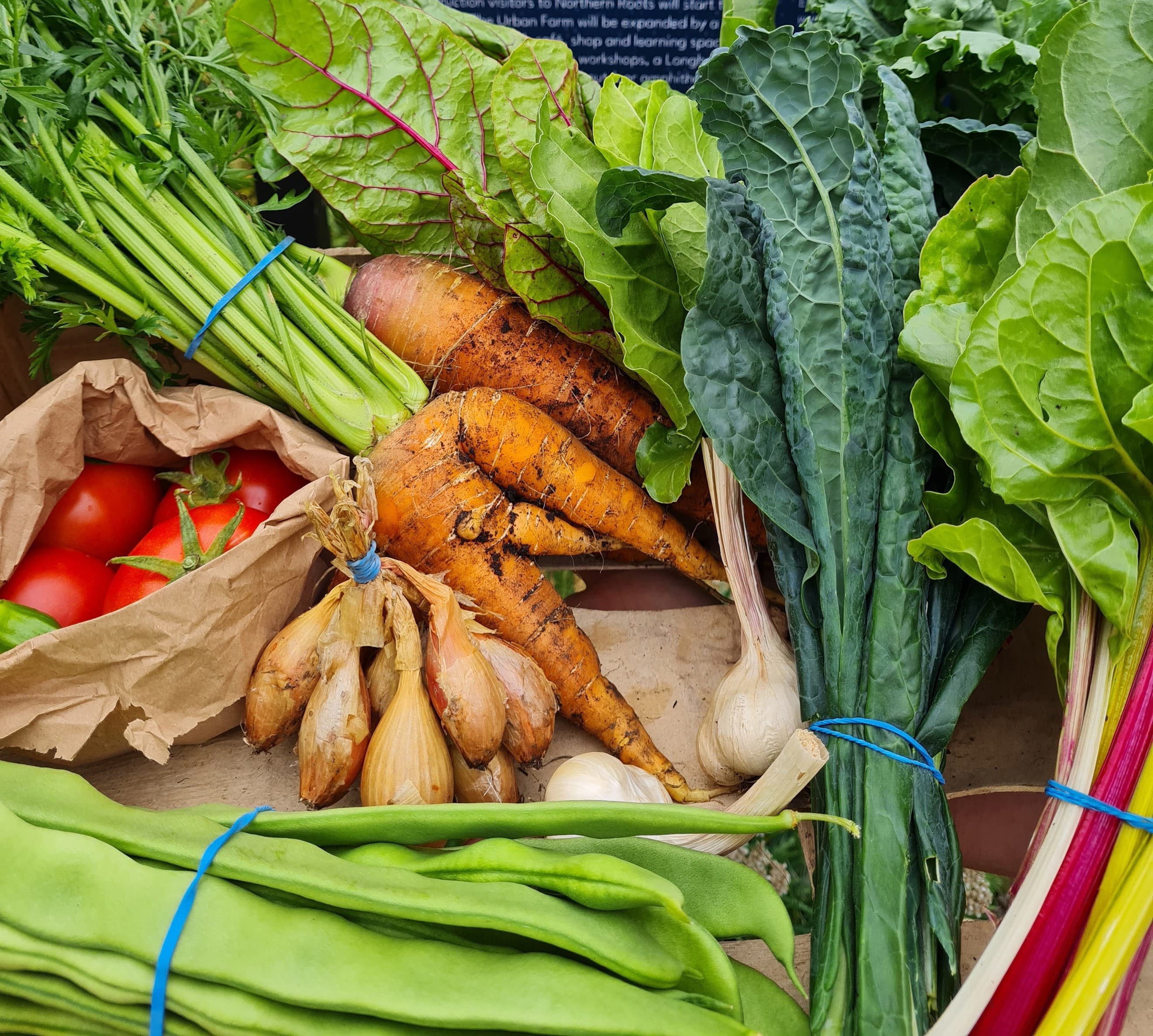 Small Veg Box - Standard Price
