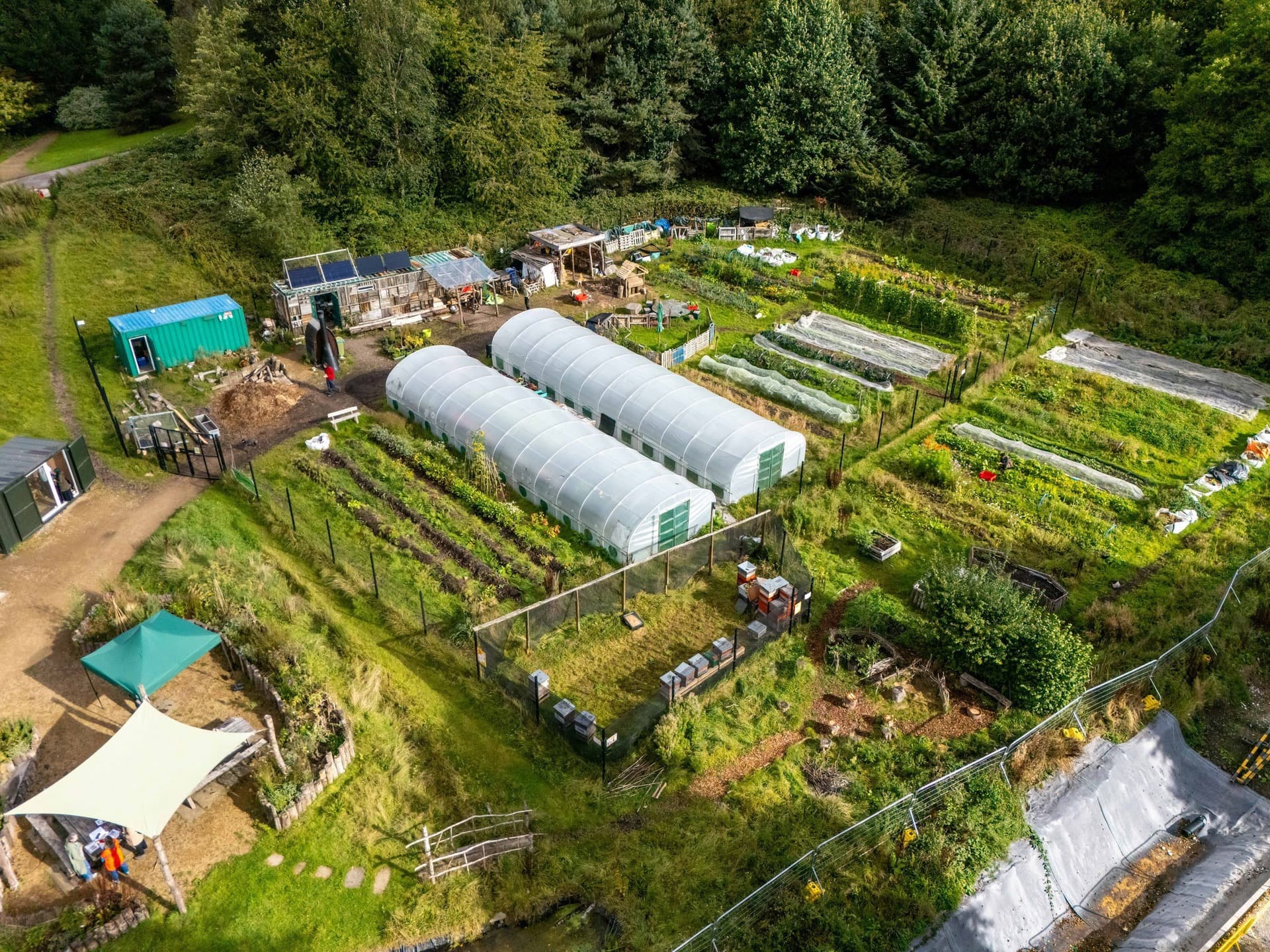 Northern Roots